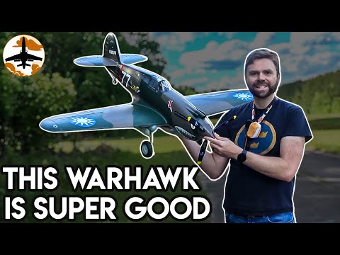 This Warbird is Almost The Best... With 1 Flaw - FMS P-40B Warhawk 1400mm