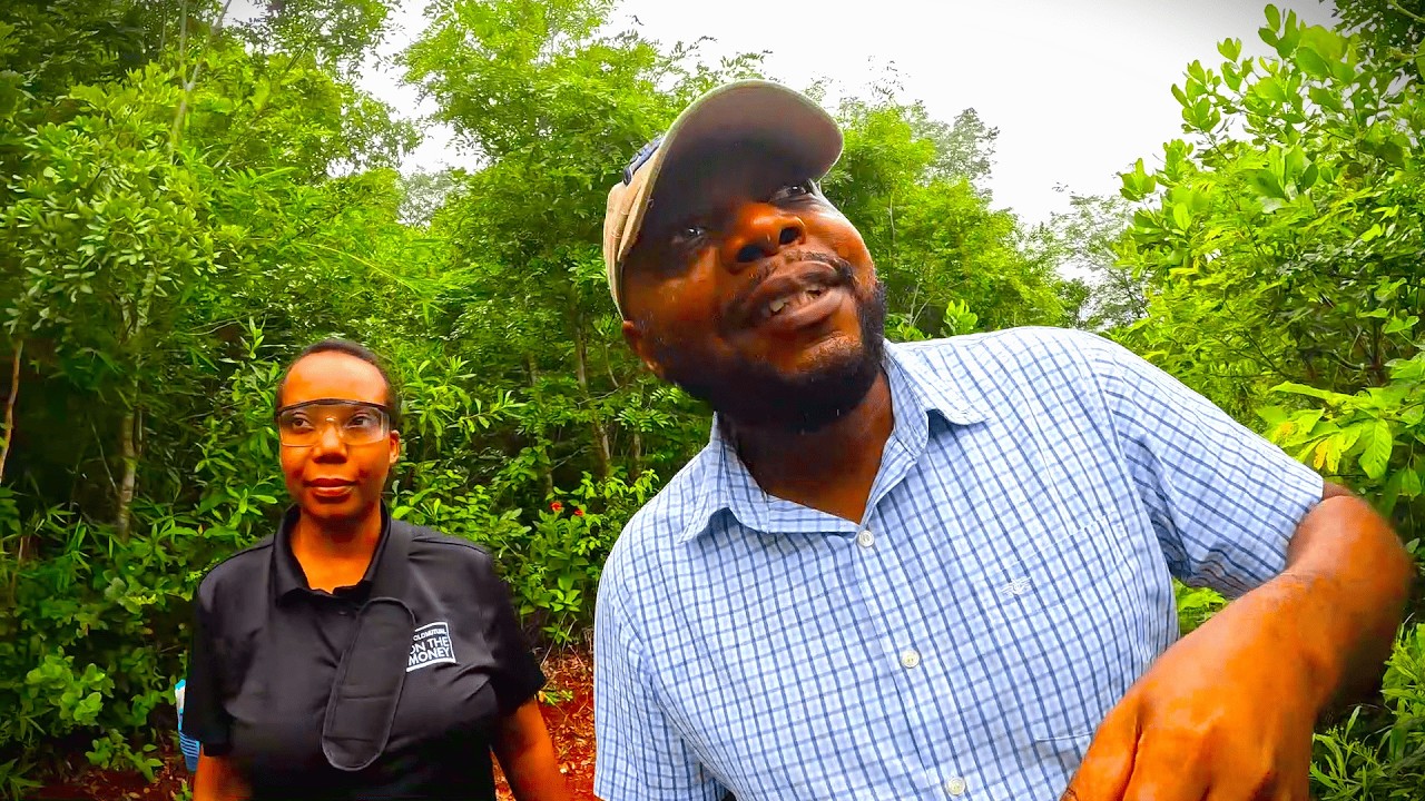 #54  Fixing things up.