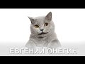 Александр Пушкин - Евгений Онегин 
