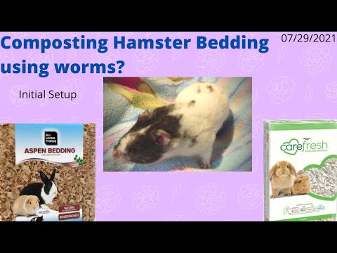 Compost Hamster Bedding in a Worm Bin Initial Setup 07/29/2021