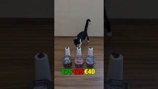 OPENING POKEMON dar motanul meu alege! #pokemon #tcg #shorts #pokemoncards #cat #pokemontcg #opening