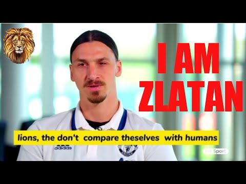 Lions Don't Compare Themselves with Humans | Unfiltered Football Wisdom