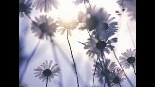 Alcest - Voix Sereines