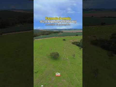 Fazenda à venda 163,8 Alqueires (793,16 Hectares) no Município de Ipameri-Go #agro #fazendaavenda