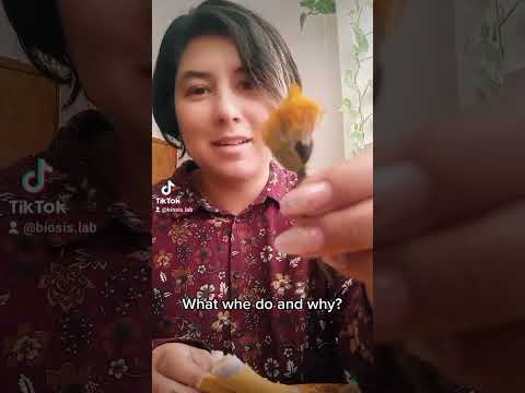 BIOSIS LAB What we do and why?