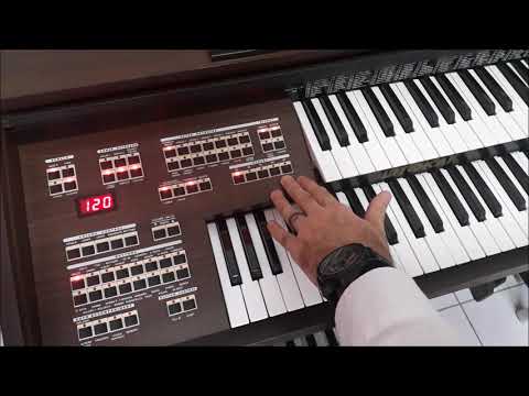 CASA DA ORGANISTA | Apresentação do Tokai D2