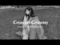 Chunari Chunari Song Slowed And Reverb LO FI Song