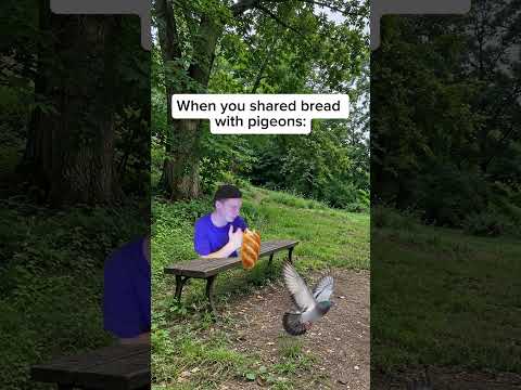 They came prepared #fyp #funny #meme