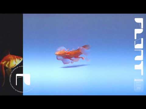 Dugong Jr - Float (Ft. Rromarin)