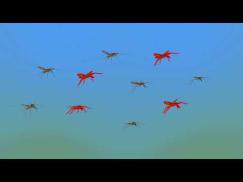 Resistance101 - Resistance and its spread (French)