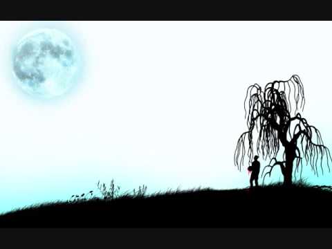 Mike Mikhjian - Reverse