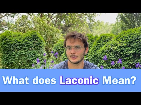 What Does Laconic Mean? Learn Daily Vocabulary