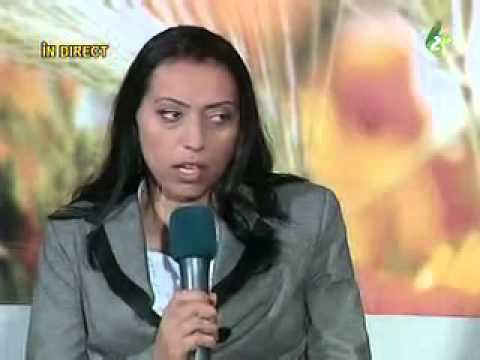 Salcie energetica Novi Sad