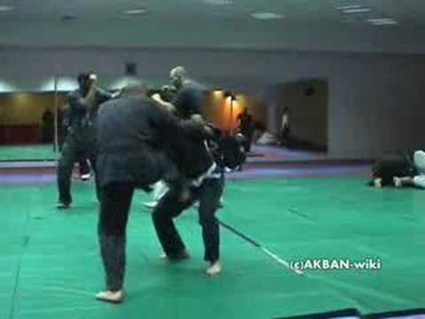 Yokuto no kata - koto ryu