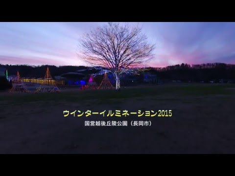 【NIIGATA-SORADORI】国営越後丘陵公園　ウインターイルミネーション　長岡市