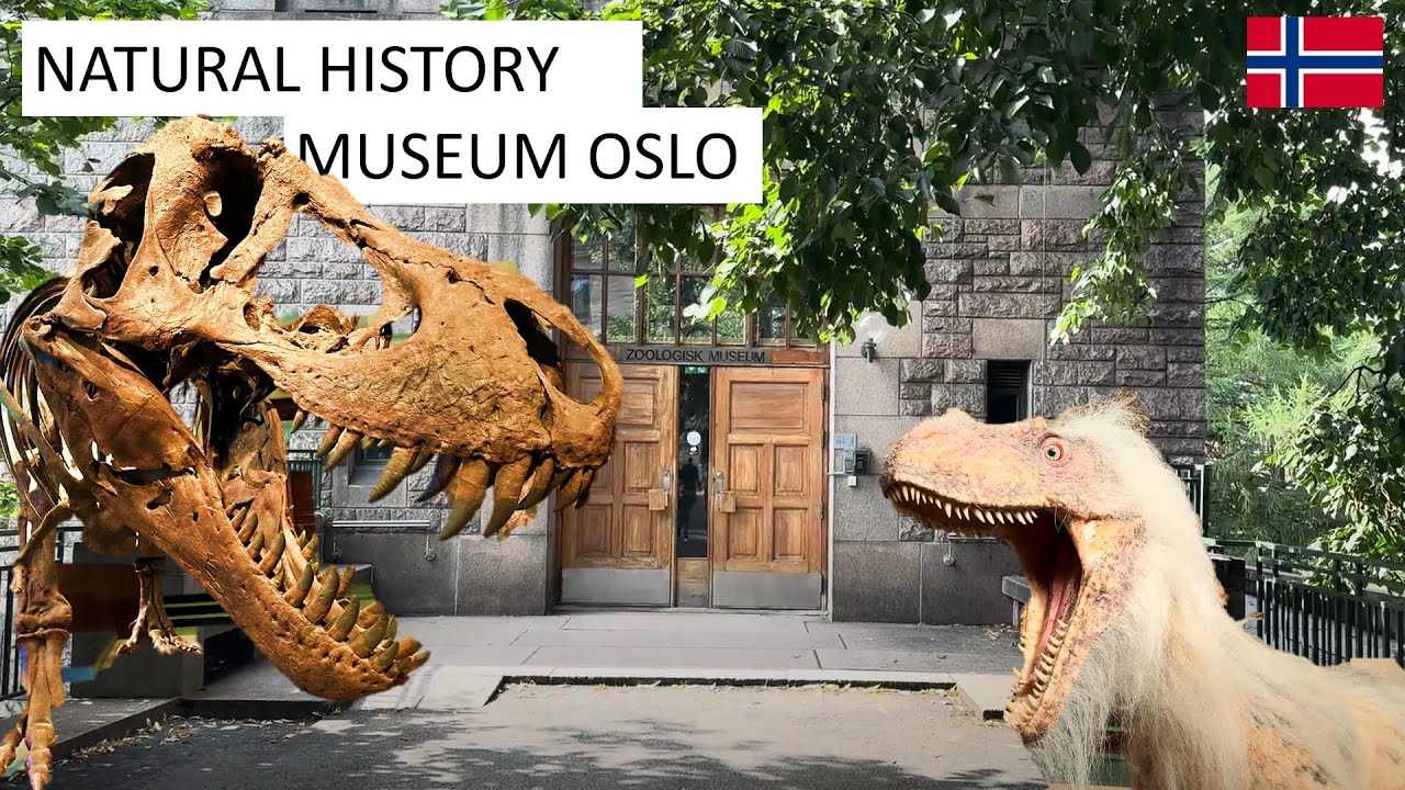 Explore Natural History Museum with this virtual walkthrough.