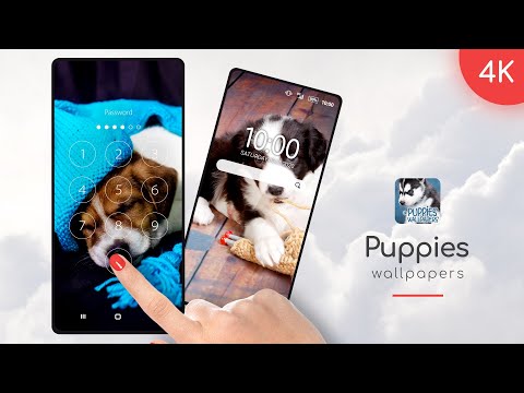 Puppies Wallpapers in 4K Video