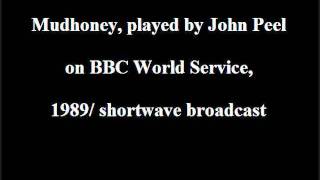 Mudhoney - You Got It (Keep It Outta My Face)