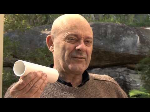 Wild Bees move into a man-made Hive - Eduction 3