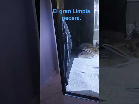 Mini Acuario La Boca, Trinidad, Sancti Spíritus, Cuba.