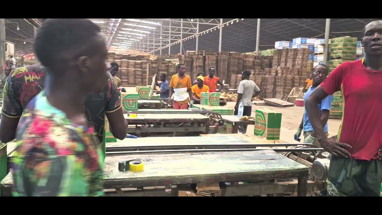 🎬 Namunkekera Industrial Park – Building Uganda’s Industrial Future