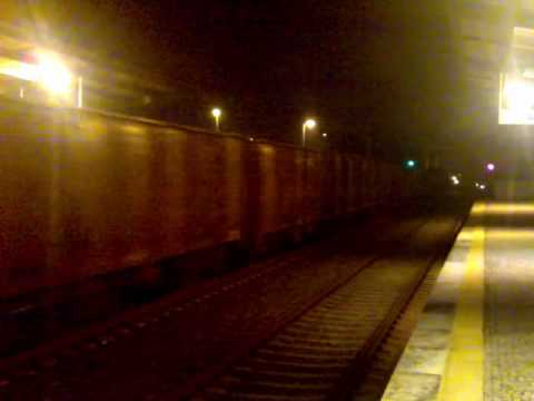 CP 2620 _ madeireiro _ Tadim