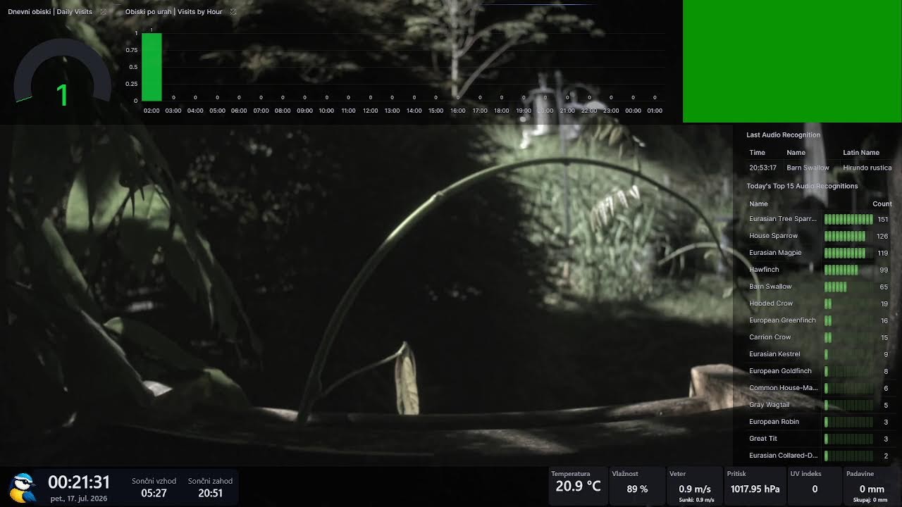 Live webcam view of Comedero de Pájaros en Directo