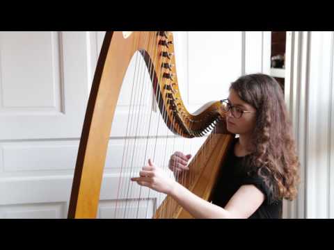 I Feel It Coming by The Weeknd (Harp Cover)