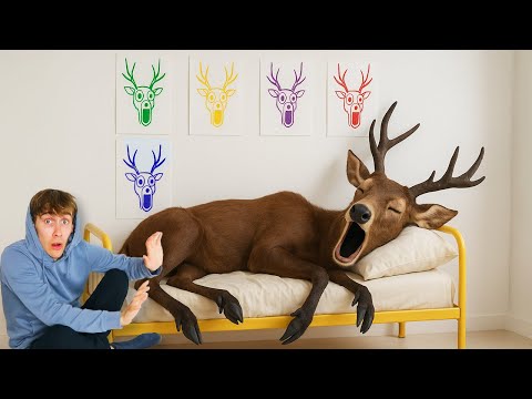 Job Speelde 989 Nachten Roblox, Maar Dat Ging Fout...