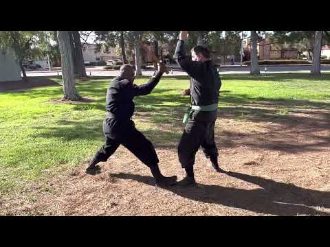 小太刀術 Kodachijutsu