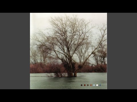 Crescent Moon Eyes - Edaline