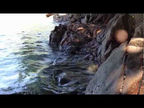 Raven Kaafarani - After the rain - (ORIGINAL MIX)