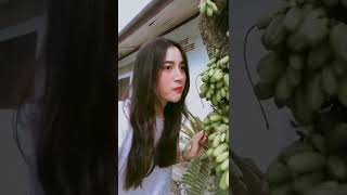 Download lagu #Kocak Makan Belimbing Wuluh Langsung Dari Batangnya mp3 Download lagu #Kocak Makan Belimbing Wuluh Langsung Dari Batangnya mp3
