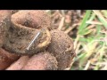 Treasure Hunter Finds a Million with Metal Detector ...