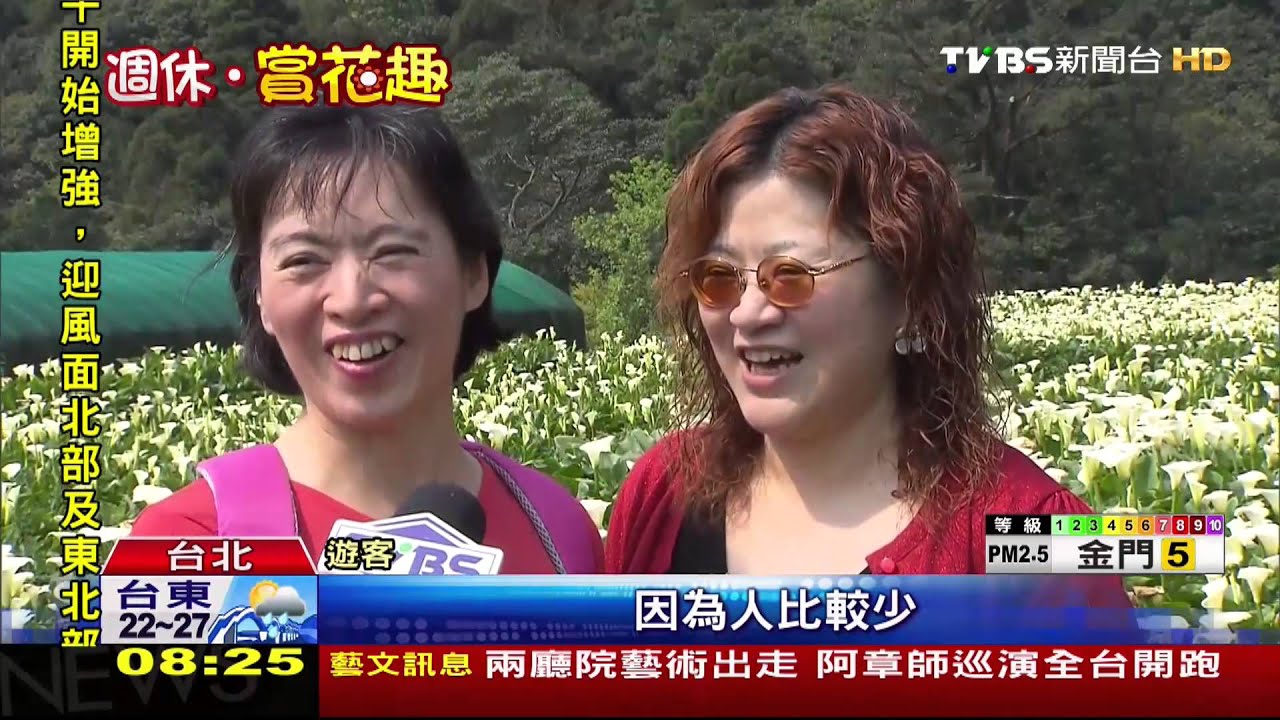 紅心皇后也來看海芋! 陽明山童話造景吸睛