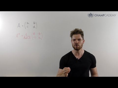 2x2 Matrix INVERSE in Sekunden!