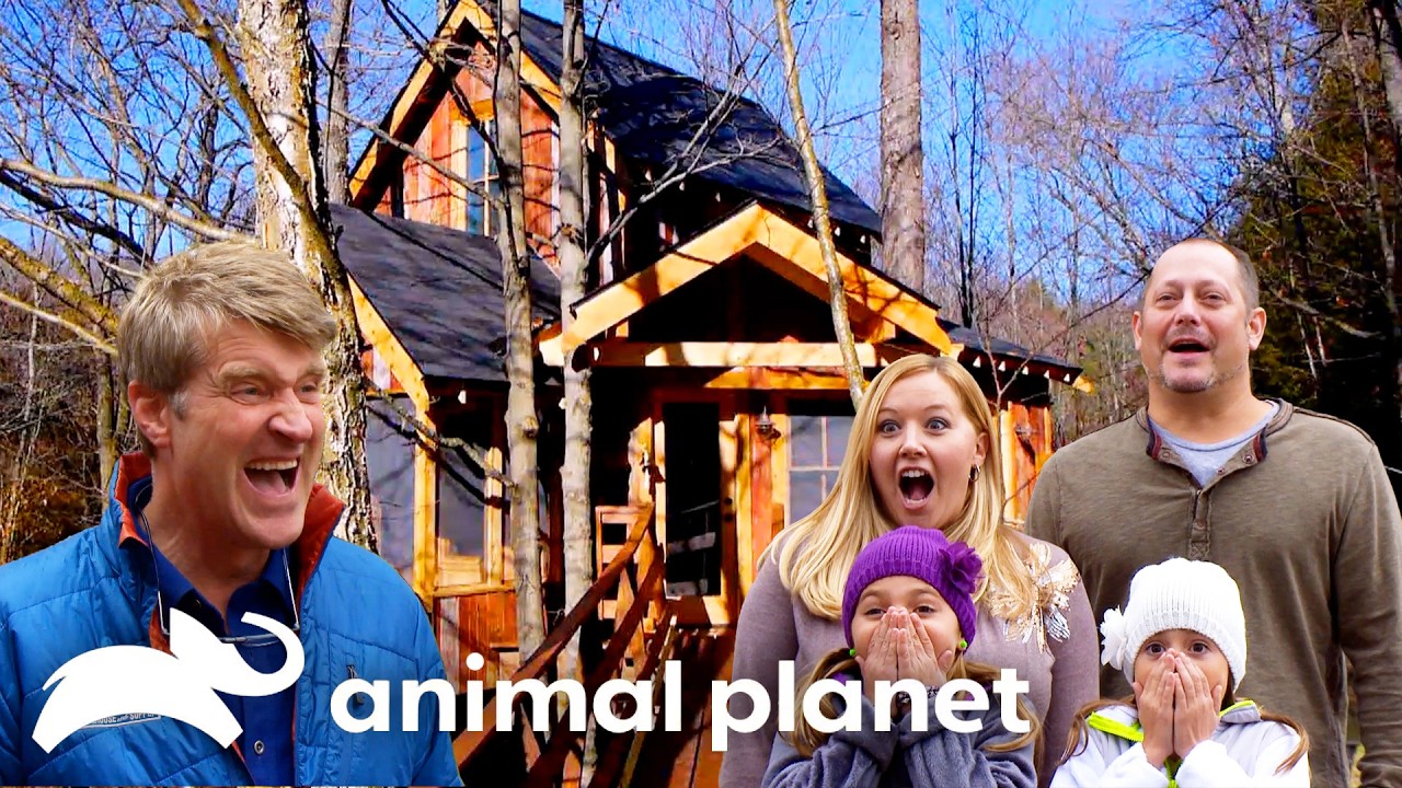 The Craziest Treehouses of SEASON 2! | Treehouse Masters | Animal Planet