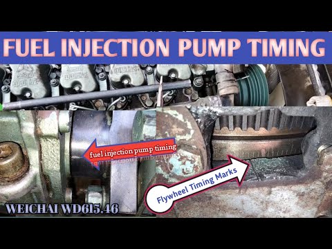 FUEL INJECTION PUMP TIMING | WEICHAI WD615.46 | XCMG CRANE 50K | Diesel engine workshop