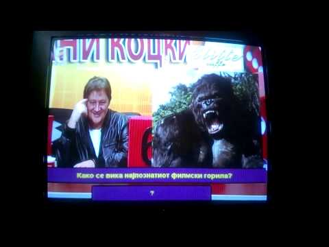 Kako se vika najpoznatiot filmski gorila? - "ШИПАНЗО"