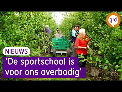 Deze mannen plukken al zestig jaar fruit