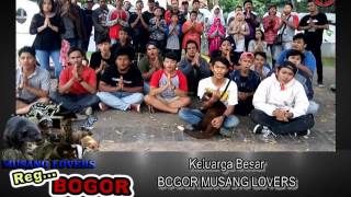 Bogor musang lovers I bomul I ucapan ramadhan 1437 H, komunitas musang I musang bogor 2016