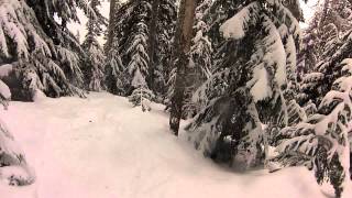 Soft Trees Break the Fall