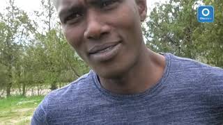 un-pirata-vero-tra-gli-olivi-del-sannio