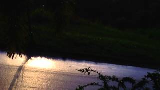 Trance In the Wet Season