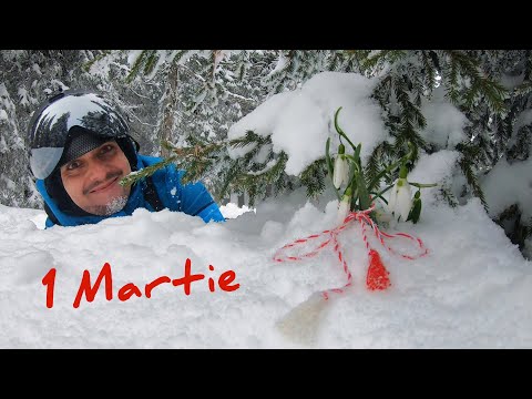 1 Martie prin păduri