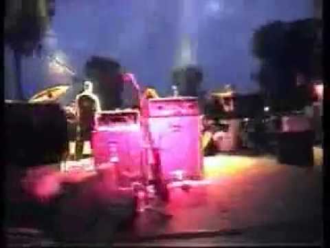 Cadaveres de Tortugas - Castaway