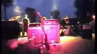 Cadaveres de Tortugas - Castaway