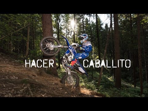 Video de YouTube