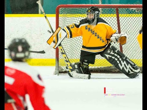 2011 Grizzlies PeeWee Tier3 Hockey