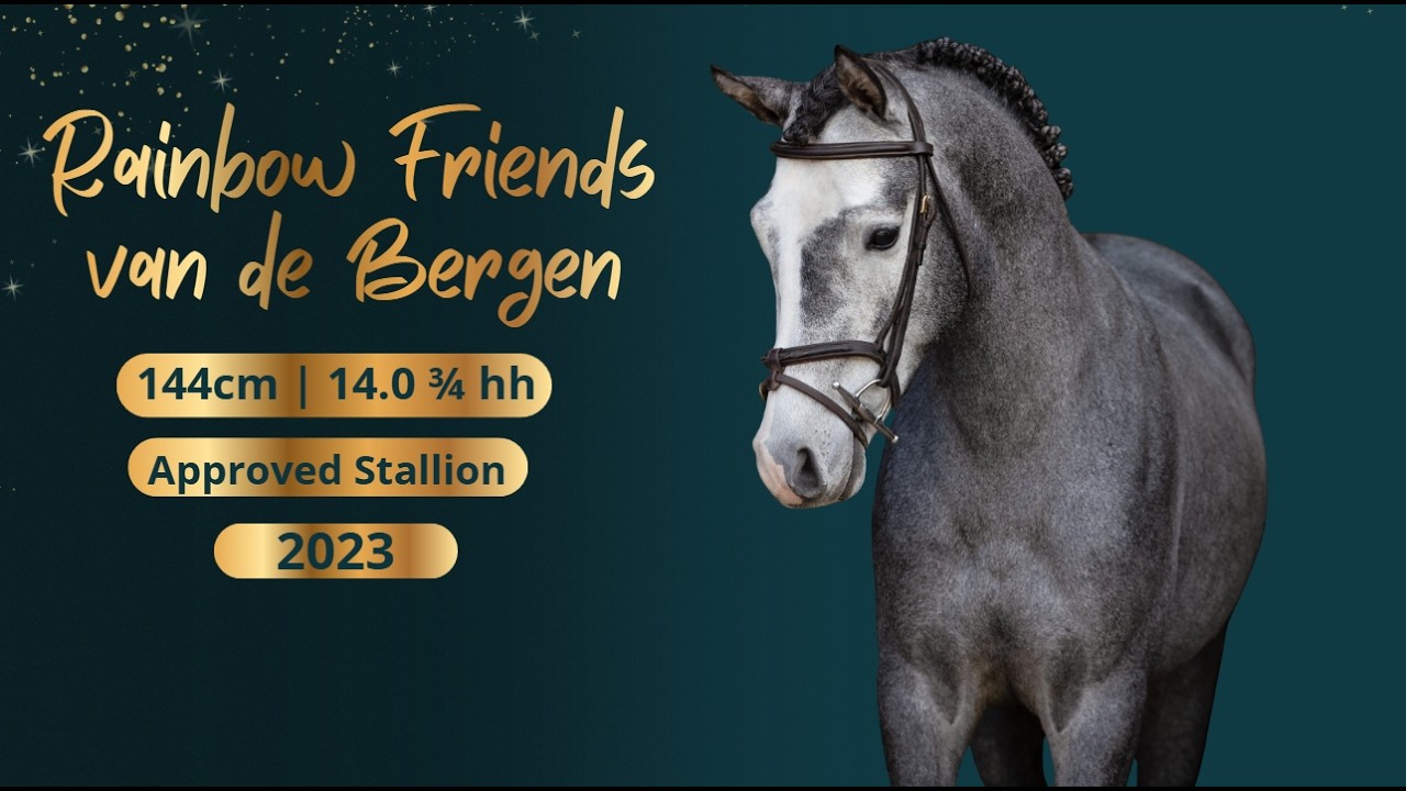 Rainbow friends van de bergen video 1